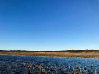 The blue sky is reflected in the water, dry, yellow reeds on the shore. Nature, the moon is visible in the distance. Autumn landscape on the lake. Travel and tourism concept.