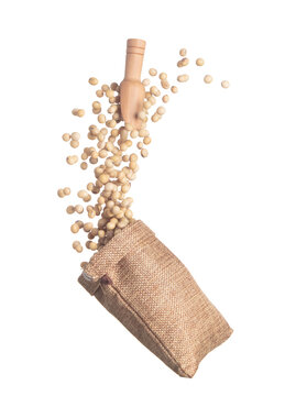 Soy Bean flying explosion in sack bag, yellow grain beans explode abstract cloud fly. Beautiful complete seed pea soy bean sack bag splash in air, food object design. White background isolated freeze
