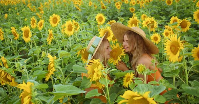Two beautiful blondes are smiling and posing for a photo shoot in sunflowers