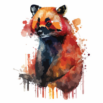 Water Colour Colourful Red Panda Vector