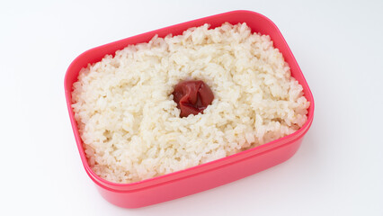 日本の梅干しのお弁当・日の丸弁当
