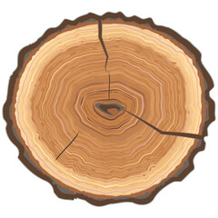 Fototapeta premium Round tree saw trunk cut with cracks and rings, sawn pine or oak slices, lumber. Wood circular section isolated on white background. Brown wooden texture. Hand drawn sketch.