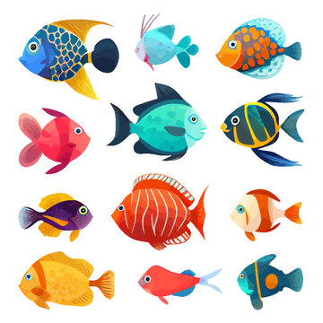 Colorful cartoon set of cute sea fish. Set of freshwater aquarium cartoon fish for print, kids development. Varieties of decorative colored fish, fish flat geometric design. Vector illustration