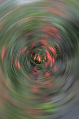 Radial Blurry Colored Floral Background Of Russelia Equisetiformis. Art Image. Spring Season Concept. Defocused.