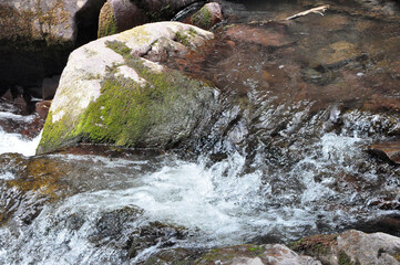 A stormy stream of a small river flows down from the mountains, bending around the stones on a...
