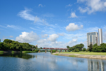 夏の岡崎公園
