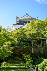 Obraz premium 夏の岡崎城