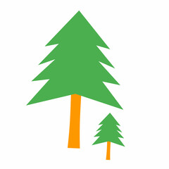 Fototapeta premium Fir tree illustration