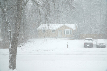 landscape of residential house in the blizzard