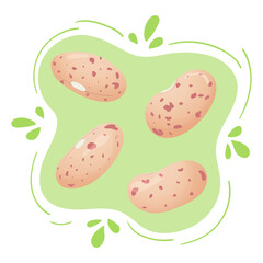 Pinto carioca bean. Red sugar speckled beans. Cute flat design. Vegetarian protein source. Organic legume for healthy food. Nutrition design. World Pulses Day. Cultivating pulses.