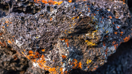 Volcanic Rock with Lichen