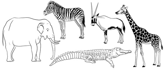 vector drawing sketch of african animals, zebra, elephant, giraffe, antelope and crocodile, hand drawn illuastration , isolated nature design element