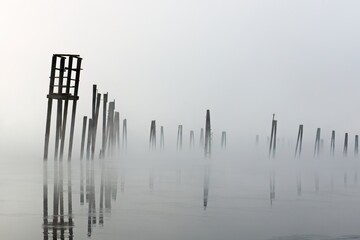 Fog surrounds wooden pilings in calm river.