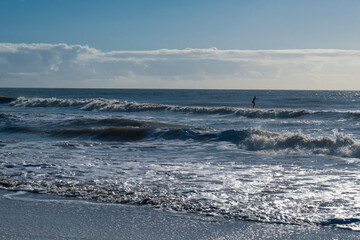 person paddle surfing near the beach in the morning