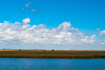 natural summer estuary landscape in Buenos Aires province