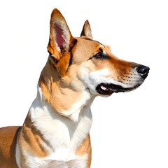 Adorable Dog on White Background Created with Generative AI and Other Techniques