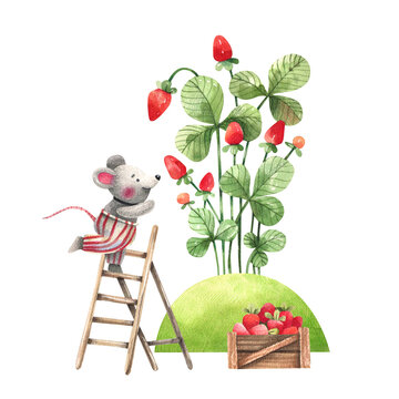A cute little mouse picking berries on a strawberry farm. Kids style illustrations on a white background. Background for kids room decor, products for children.