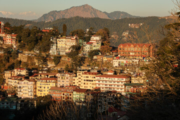 Fototapeta premium Many houses on a densely populated hillside in Shimla Northern India. House in the foothills of the Himalaya mountains capital of Himachal Pradesh. Ariel view of Shimla town.