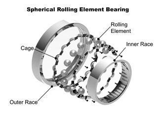 Exploded view of spherical rolling element bearing