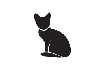 black cat on white background