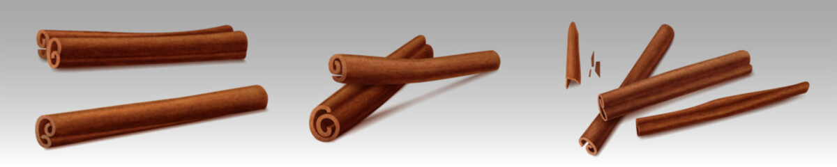 Cinnamon sticks, brown indian spices. Bundles of dry cinnamon, cooking and baking seasoning, aromatic condiment. Canella sticks isolated on background, vector realistic illustration