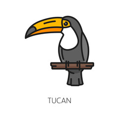 Toucan bird, Argentina parrot with massive bill