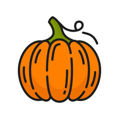 Ripe pumpkin with stem isolated autumn vegetable