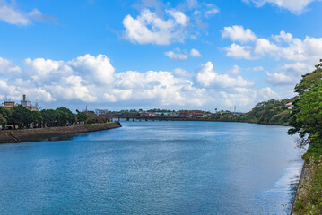 Fototapeta premium 屋久島の風景 宮之浦川