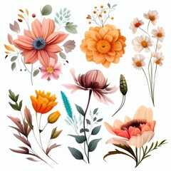 Watercolor flowers set. Collection of decorative elements bright colorful flowers, leaves, grass, hand drawn with watercolors. Decoration Watercolor flowers isolated. Generative AI