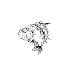 fish animal vector, line art. You can color it however you like and can be used for tattoos and logos.