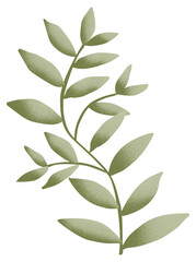 Leaf graphic design, transparent