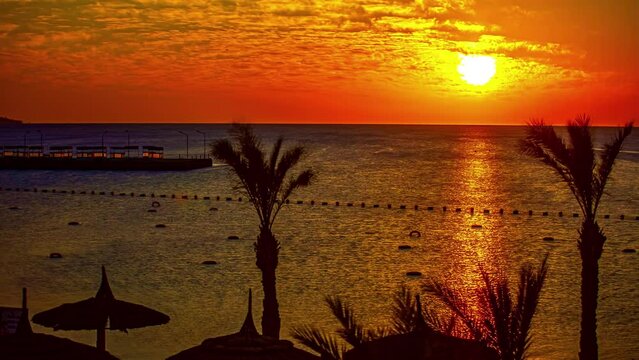 Time lapse shot of waving palm trees, waving water of ocean during golden sunset