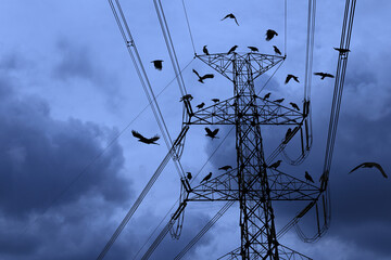 Silhouettes of many standing and flying crows at high voltage transmission towers in cloudy sky.