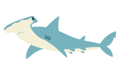 Hammerhead shark in flat style. Beautiful sea inhabitant.