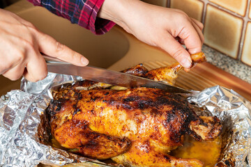 Close-up of woman cutting roast turkey with knife.