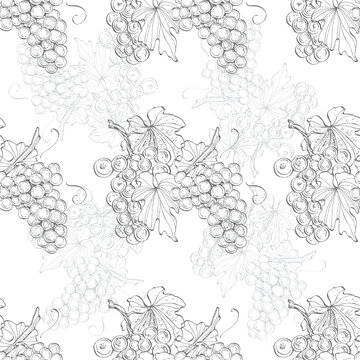 Seamless pattern with grape branch. Wineyard retro wallpaper. Garden background Sketch wild flower for background, texture, wrapper pattern, frame or border.