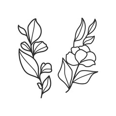 Hand-Drawn Botanical Branches and Leaves Illustration