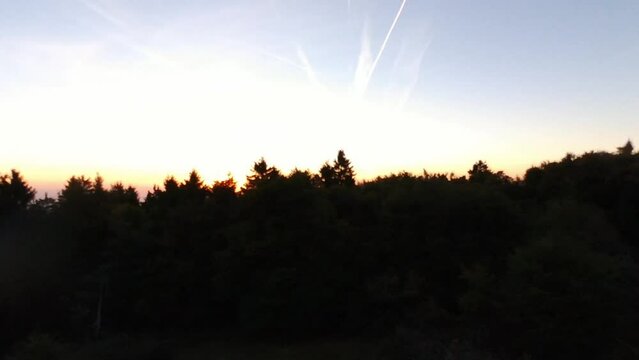 flying towards the sun over forest