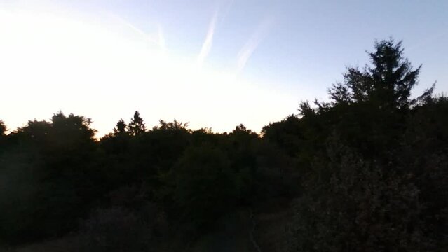 flying towards the sun over forest