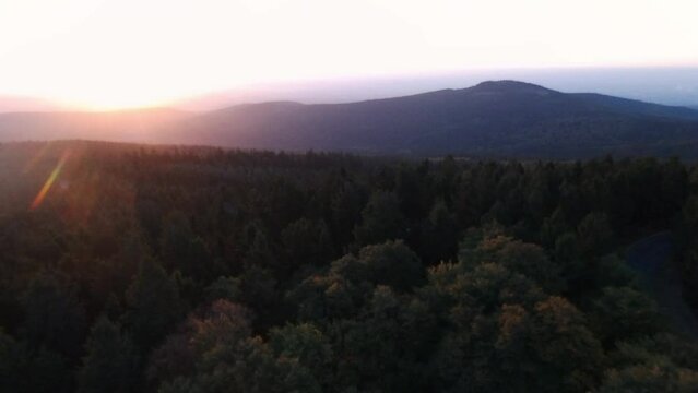 flying towards the sun over forest