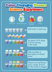 Color changing flowers science experiment