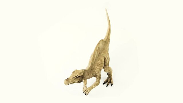 Spinosaurus Skeleton white background video