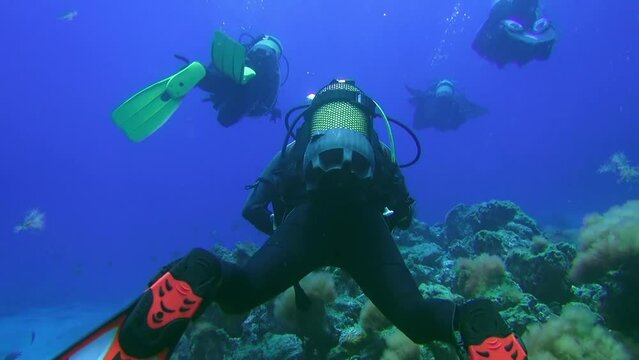 La Palma, Canary Islands - 12 Sep 2012: Group of divers underwater on decompression in Atlantic ocean. Incredible rare footage. Scuba diving in crystal clear water of Spain.