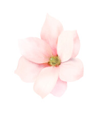 Obraz na płótnie Canvas pink flower isolated on white