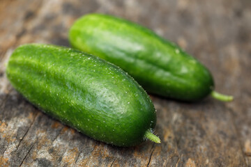 Two whole homegrown 'Muncher' cucumbers harvested from an organic kitchen garden