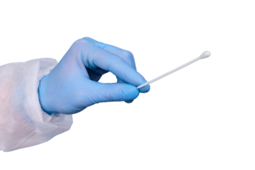 A hand in a blue glove with a test for taking a smear for the analysis of covid, isolated on a white background