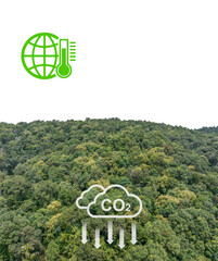Tropical forests can absorb large amounts of carbon dioxide from the atmosphere.