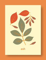 Vector illustration abstract still life of ash branch and ash fruit in pastel colors.
