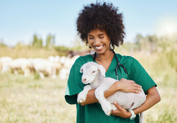 Veterinary, farm and woman holding sheep on livestock field for medical animal checkup. Happy,...