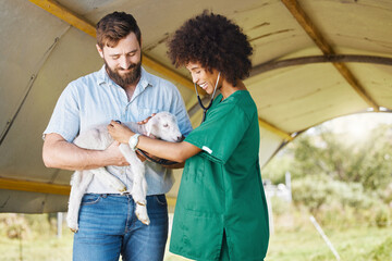 Farm, healthcare or lamb with a black woman vet outdoor for a checkup on an animal in the farming...